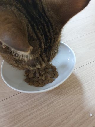 네롱이님이 올린 리뷰 사진 3