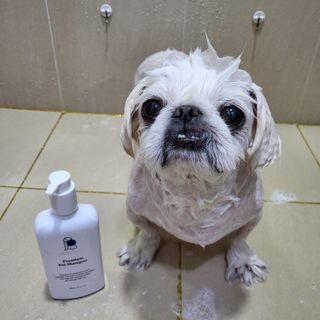 mini unni님이 올린 리뷰 사진 3