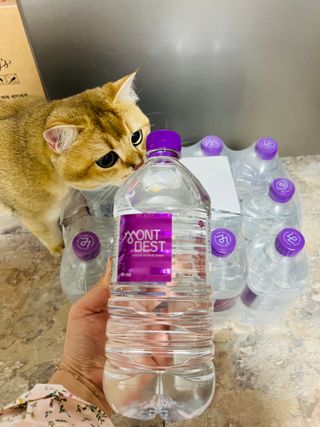 몽베스트 MONTBEST 1L 12입 — 5점을 준 리뷰어가 2022년 4월 올린 사용 사진