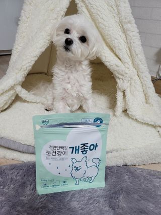 My Pet Care 천연단백질 눈건강에 개좋아 — 5점을 준 리뷰어가 2021년 2월 올린 사용 사진