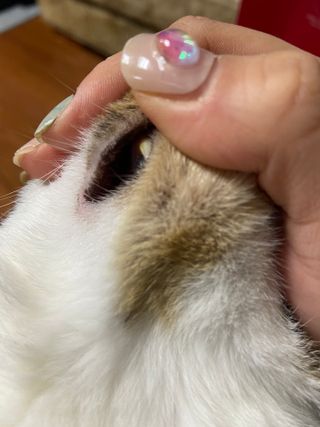 다니당근님이 올린 리뷰 사진 4