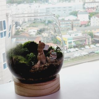 곰soon2님이 올린 리뷰 사진 1