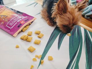 별앤별님이 올린 리뷰 사진 1