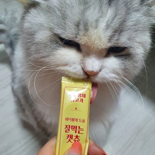 슬뷰님이 올린 리뷰 사진 1