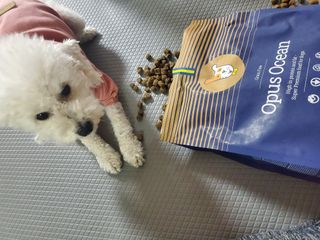 모모맘님이 올린 리뷰 사진 1