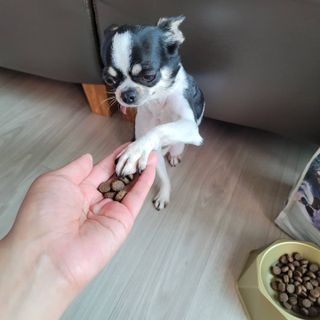 썽이mom앙꼬님이 올린 리뷰 사진 2