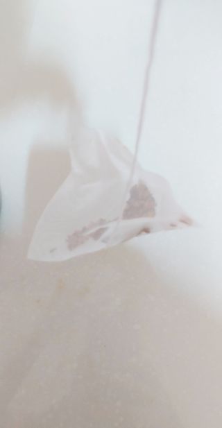 너구리양님이 올린 리뷰 사진 3