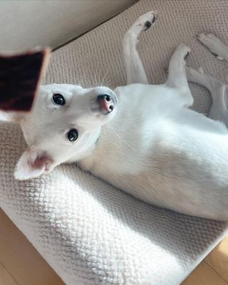 몽언니님이 올린 리뷰 사진 2