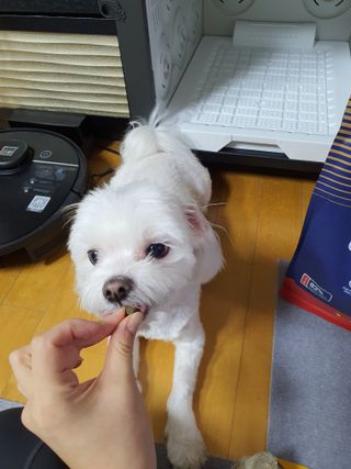 단츄♡님이 올린 리뷰 사진 4