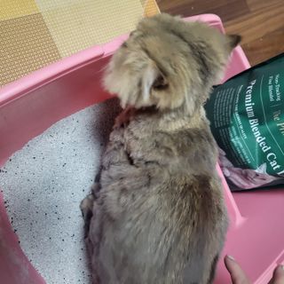 하린님이 올린 리뷰 사진 1