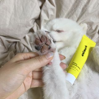 오랑이님이 올린 리뷰 사진 2
