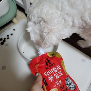 미르별님이 올린 리뷰 사진 2