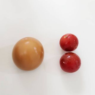 0.8L 마케팅팀 - — 5점을 준 리뷰어가 2021년 5월 올린 사용 사진