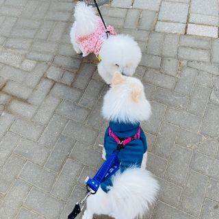 써니곰님이 올린 리뷰 사진 4