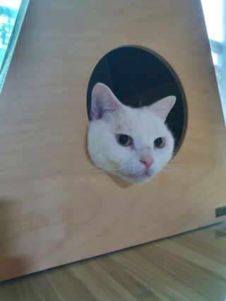 꽃채님이 올린 리뷰 사진 4
