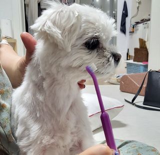 뽀오오옹님이 올린 리뷰 사진 2