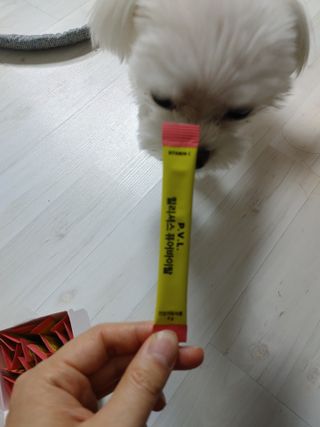 쮸동비님이 올린 리뷰 사진 2