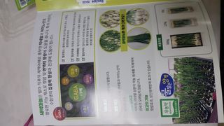 월천여사님이 올린 리뷰 사진 4