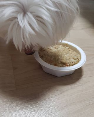 타조님이 올린 리뷰 사진 3