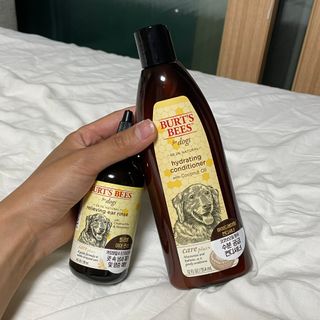 bongdam님이 올린 리뷰 사진 3