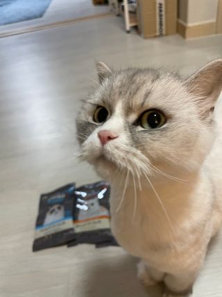 부먹부부님이 올린 리뷰 사진 1
