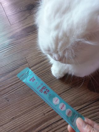 페페로니 잘 먹는 캣츄 - 원양선 참치 24개입 — 5점을 준 리뷰어가 2021년 8월 올린 사용 사진