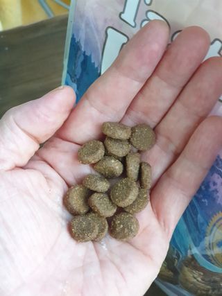 보리엄마님이 올린 리뷰 사진 2