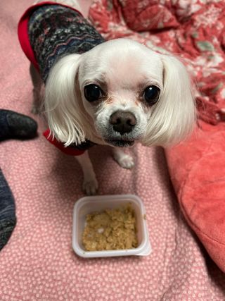 O_zl님이 올린 리뷰 사진 2