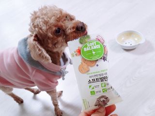씨디랩 속이 편한 강아지 사료 소프트발란스 기호성 좋은 발효사료 피부와 위장 관절과 위장 — 5점을 준 리뷰어가 2021년 3월 올린 사용 사진