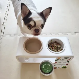 mini unni님이 올린 리뷰 사진 4