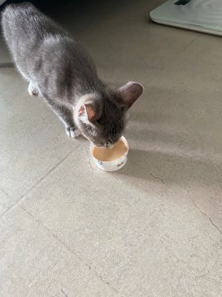 현님이 올린 리뷰 사진 4
