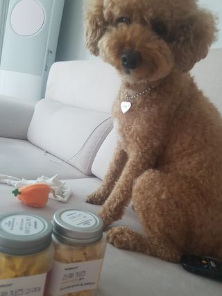 페페로니 진짜 프리바이오틱스 치즈+치즈고구마 180g+180g — 5점을 준 리뷰어가 2021년 7월 올린 사용 사진
