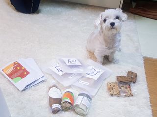 둥가둥가우리도도님이 올린 리뷰 사진 1