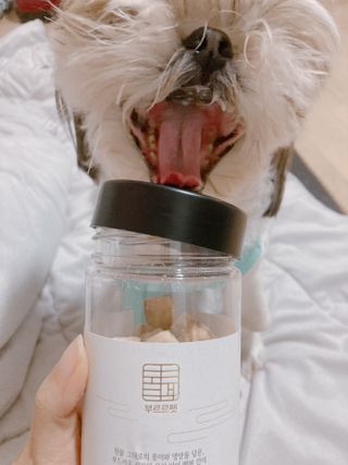 박하님이 올린 리뷰 사진 3