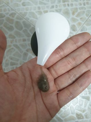 맹고님이 올린 리뷰 사진 2