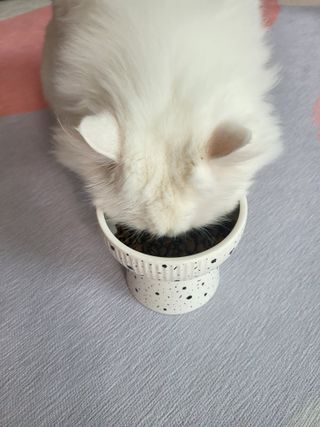Woo7C님이 올린 리뷰 사진 1