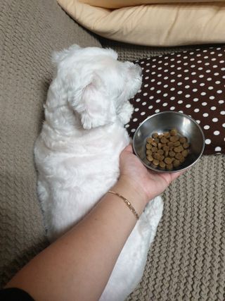 진진이님이 올린 리뷰 사진 2