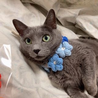 은영님이 올린 리뷰 사진 3