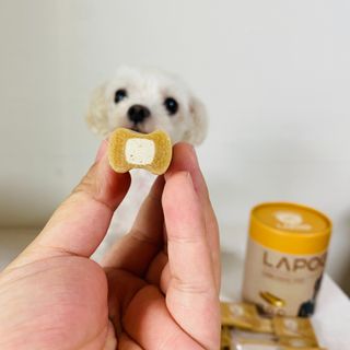 뽀히님이 올린 리뷰 사진 3