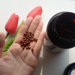 BlossomY님이 올린 리뷰 사진 3