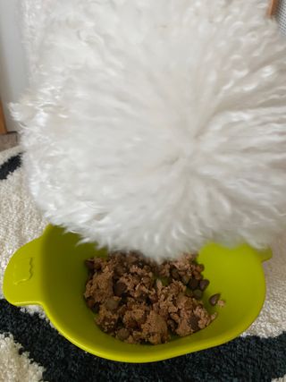 순애님이 올린 리뷰 사진 2
