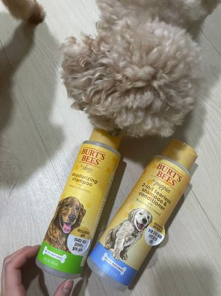 숙블리님이 올린 리뷰 사진 1