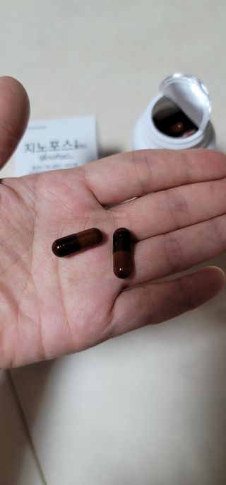 프리마인 홍삼의 강력한 에너지, 이제는 흡수율을 높인 최첨단 캡슐로 간편하게 초고속 충전하세요. — 5점을 준 리뷰어가 2022년 9월 올린 사용 사진