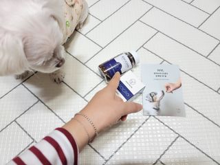 펫21 그로그로 5종 강아지 고양이 반려동물 한방 영양제 — 5점을 준 리뷰어가 2021년 11월 올린 사용 사진