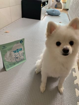 My Pet Care 천연단백질 눈건강에 개좋아 — 4점을 준 리뷰어가 2021년 2월 올린 사용 사진
