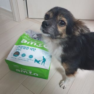 꽃수니어니님이 올린 리뷰 사진 2