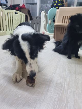 포메콜리 다둥이맘님이 올린 리뷰 사진 3