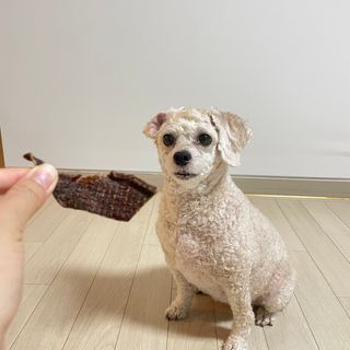 나은님이 올린 리뷰 사진 4