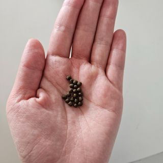 [큐라에스] 식후 1입 혈당 뚝 여주환 100g(1개월분) — 5점을 준 리뷰어가 2023년 12월 올린 사용 사진
