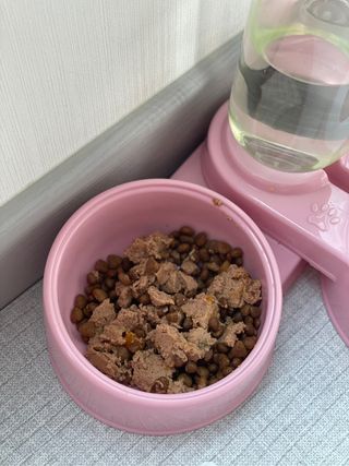 효효님이 올린 리뷰 사진 2